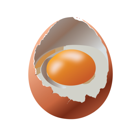 Cracked egg png transparent