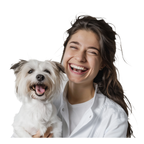 Cute dog png image