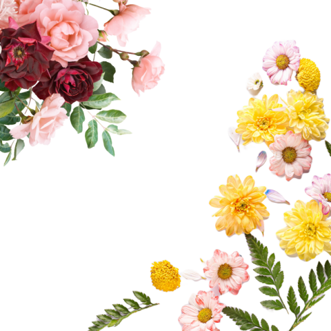 Corner flower png