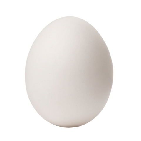 Egg png transparent