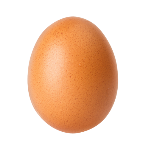 Egg png free download