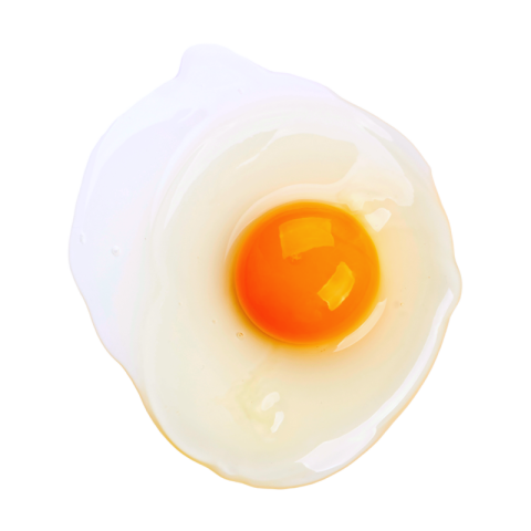 Fried egg png clipart