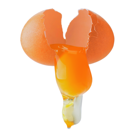 Cracked egg png Transparent
