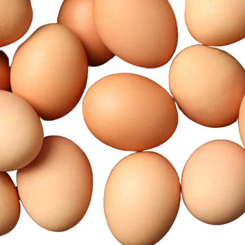 Egg png image