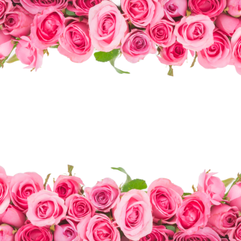 Flower corner images
