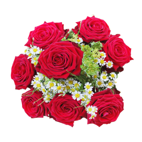 Rose bouquet png