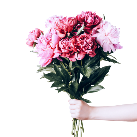 Pink flower bouquet png hd