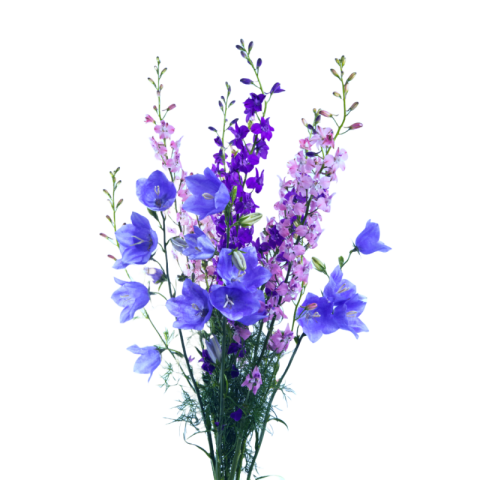 Blue flower bouquet png hd images