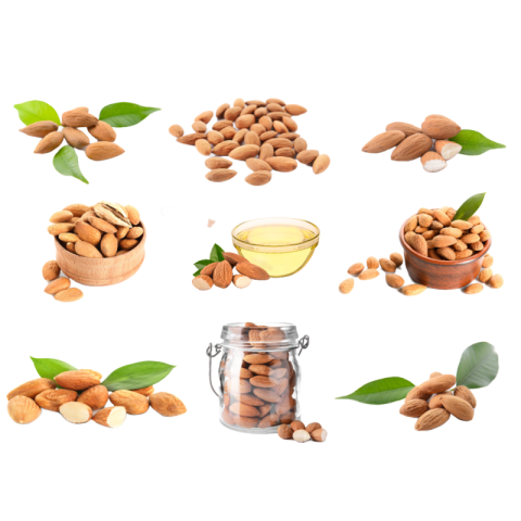 Variety of almonds png images
