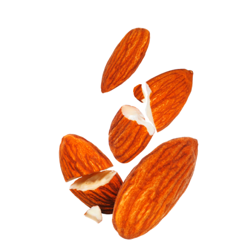 Almond png hd