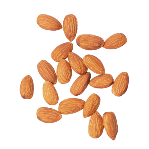 Almond png free