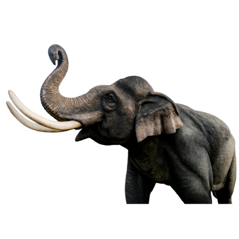 Black elephant png