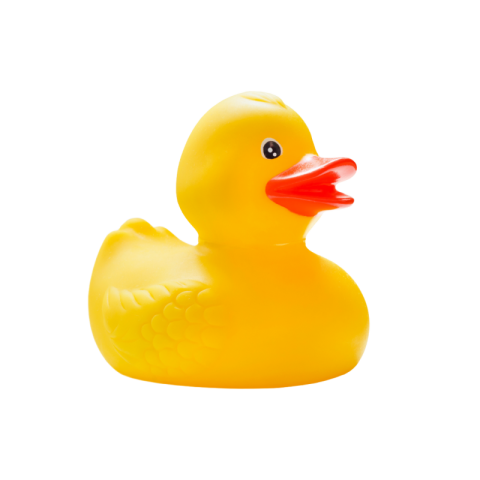 Free rubber duck png