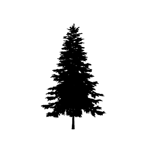 Christmas tree png
