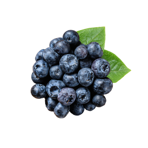 Blueberry png images