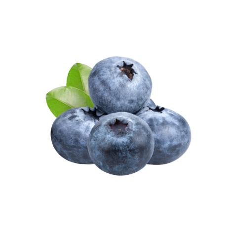 Blueberry png transparent