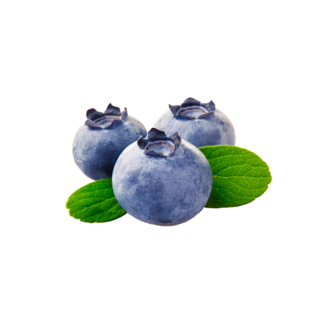 Blueberry png image