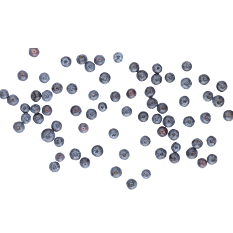 Blueberry png free