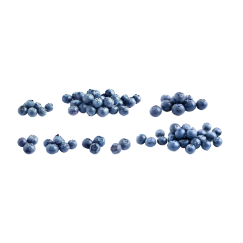 Blueberry png hd