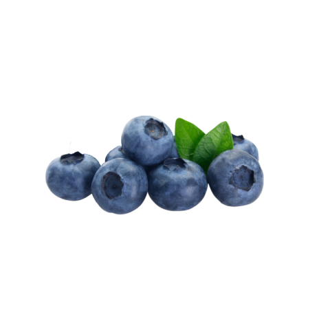Blueberry png images