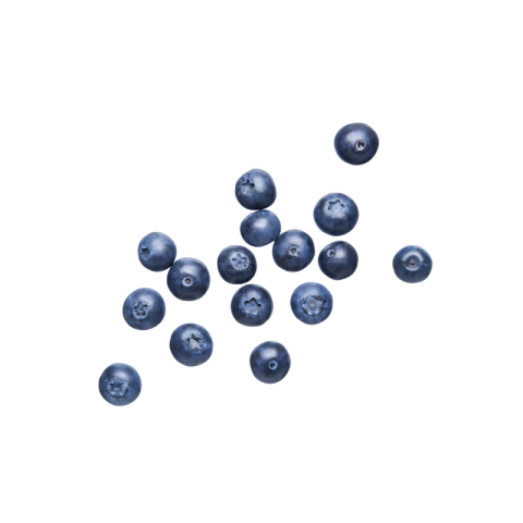 Blueberry png transparent