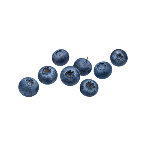 Blueberry png black