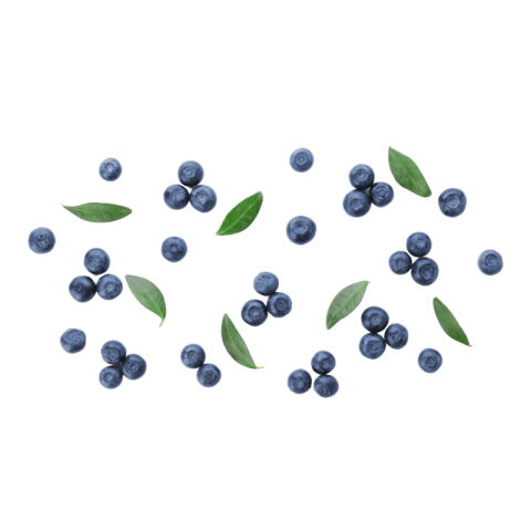 Blueberry png transparent