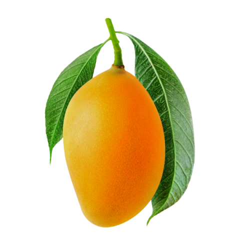 Mango png hd