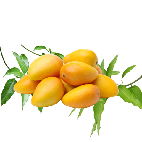 Transparent mango png