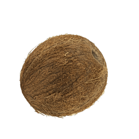 Coconut png