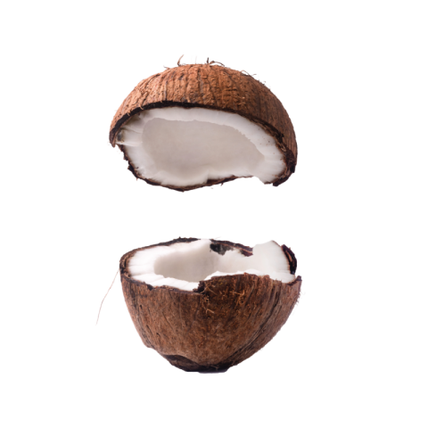 Coconut png transparent