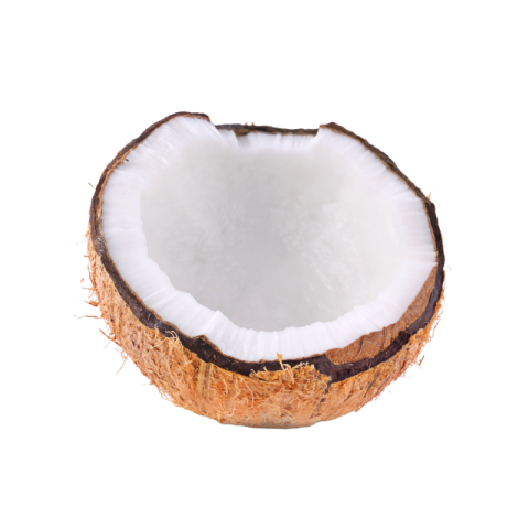Coconut png Free