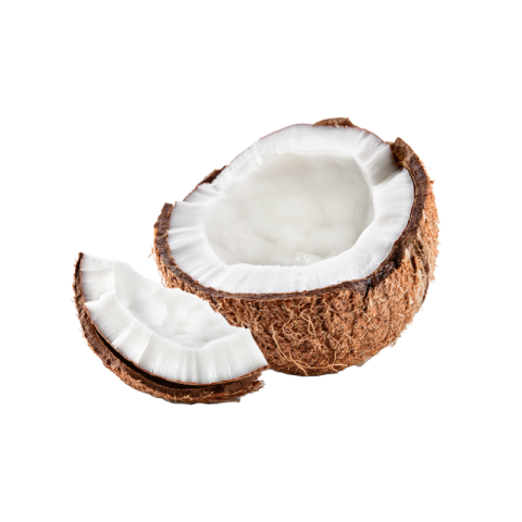 Coconut png background