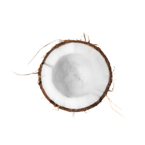 Coconut png free download