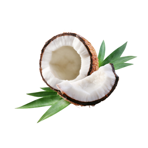 Coconut png transparent download