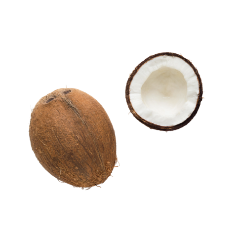 Coconut png transparent background