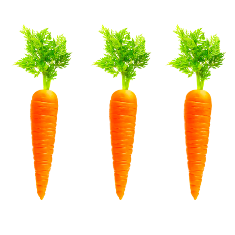 Carrot png