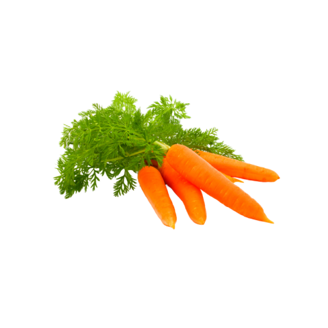 Red carrot png