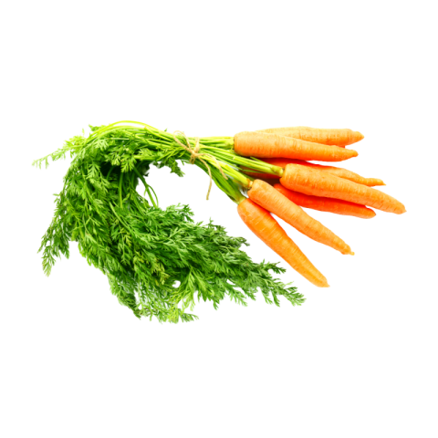 Transparent background carrot png