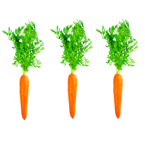 Fresh carrot png