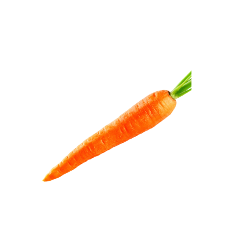 Single carrot png