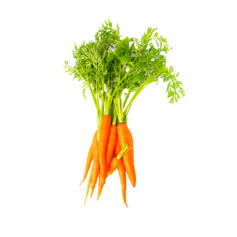 Carrot png transparent background