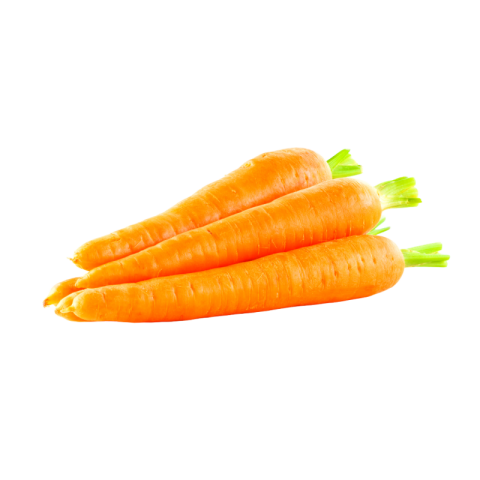 Carrot png pic