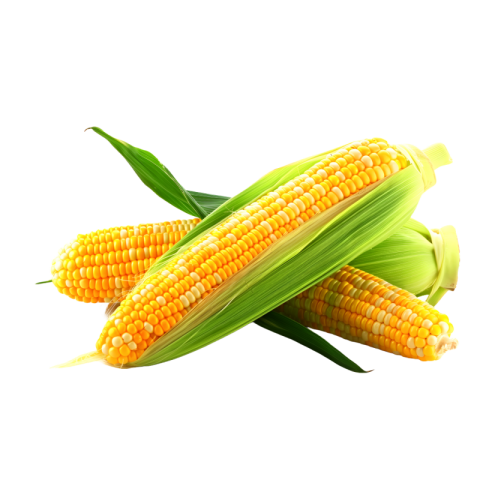 Sweet corn png images