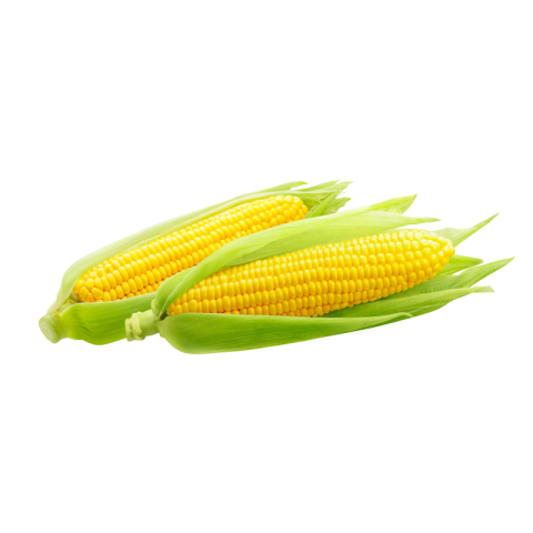 Corn png free download