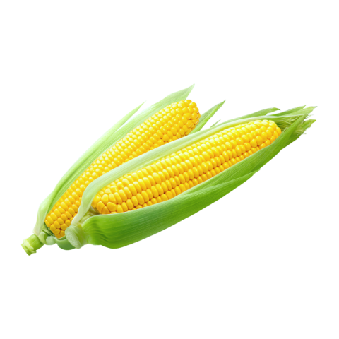 Corn png images free