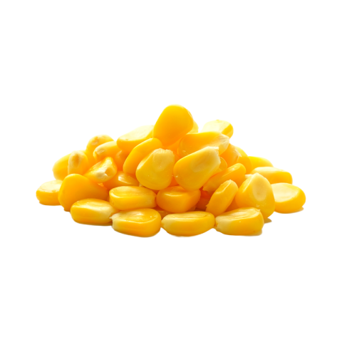 Corn grain png images