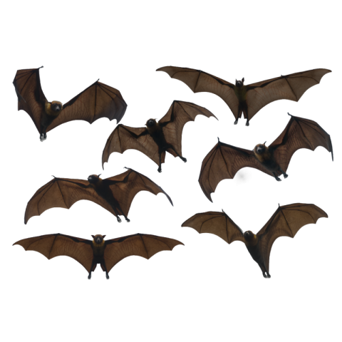 Bat png free download