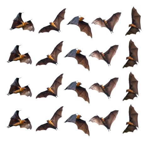 Bat png free download