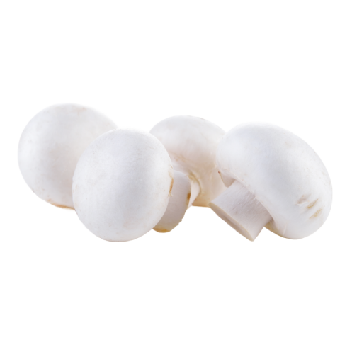 White mushroom png